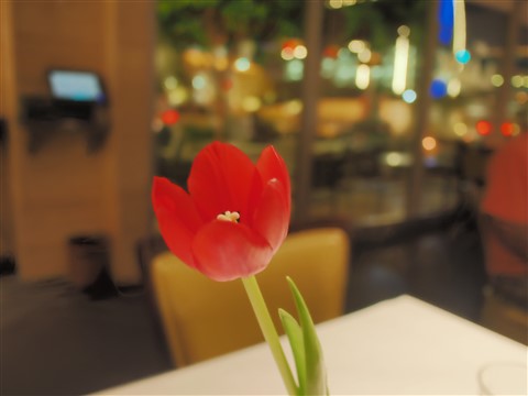 lark on the park dallas