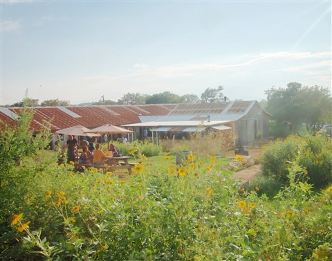 jester king and stanley's farmhouse pizza austin