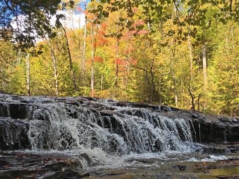 Joe's Brook Vermont fall 2016