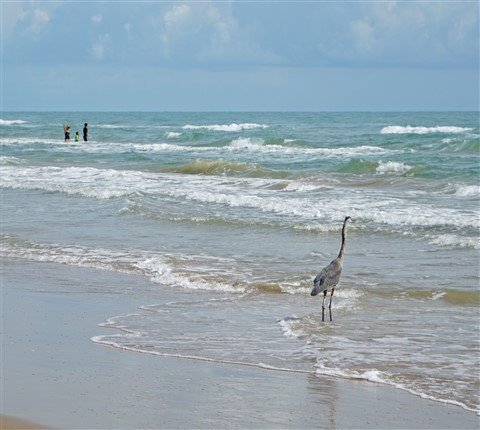spi tx labor day 2017