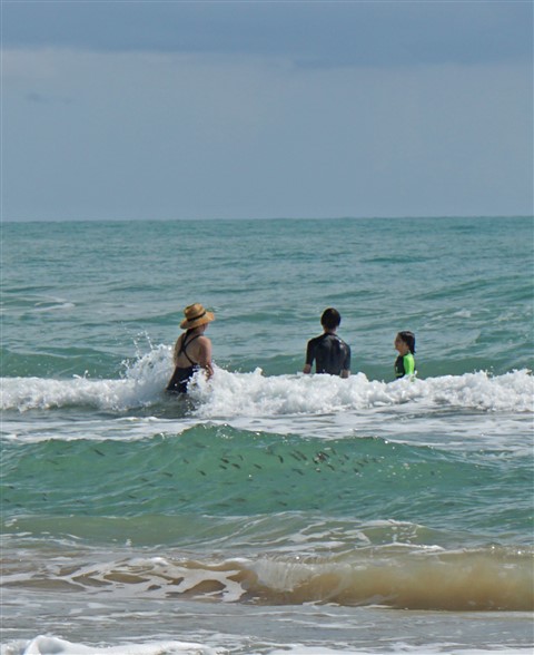 school of fish souhpadre island tx