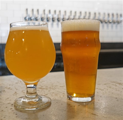 st elmo brewing co guava sour 