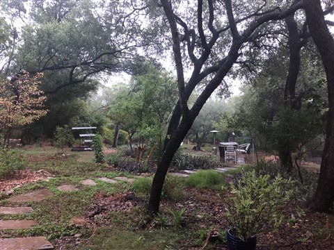 rain defeats drought in Austin TX Sept 2018