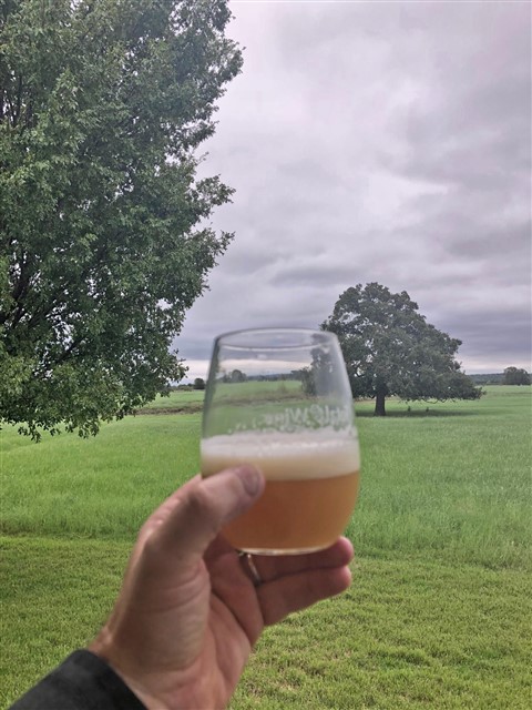 neipa home brew