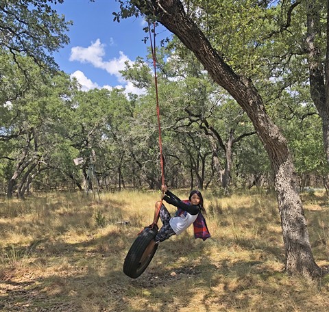 tire swing wimberley texas